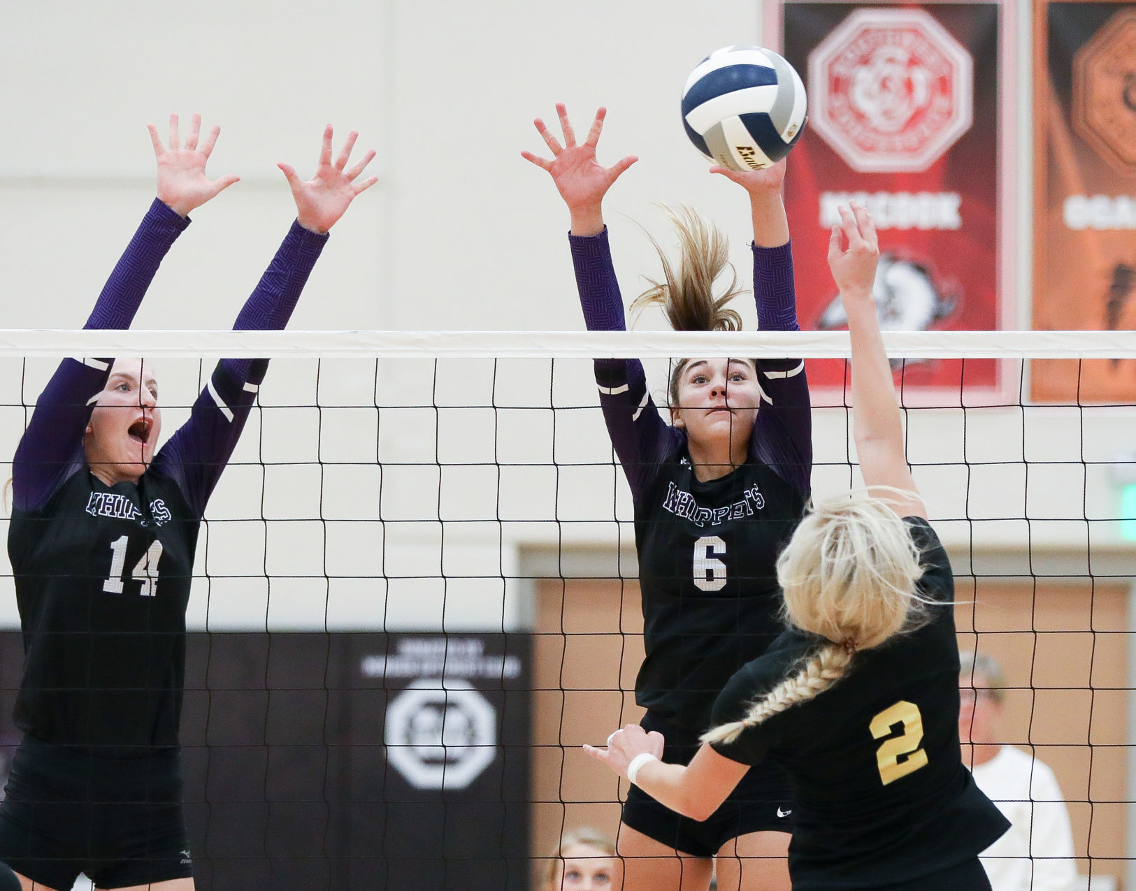 Minden volleyball triangular